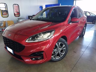 FORD Kuga 2.0 EcoBlue Hybrid 150 CV 2WD ST-Line X