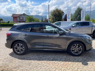 FORD Kuga 1.5 ecoboost ST-Line 2wd 150cv