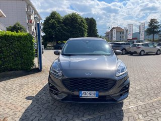 FORD Kuga 1.5 ecoboost ST-Line 2wd 150cv