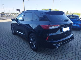FORD Kuga 2.5 full hybrid ST-Line 2wd 190cv cvt