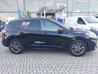 FORD Kuga 2.5 full hybrid ST-Line 2wd 190cv cvt
