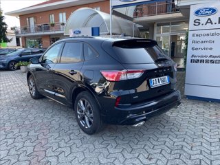 FORD Kuga 2.0 ecoblue ST-Line X awd 120cv auto