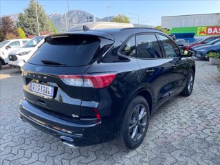 FORD Kuga 2.0 ecoblue ST-Line X awd 120cv auto