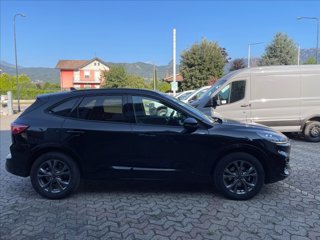 FORD Kuga 2.0 ecoblue ST-Line X awd 120cv auto